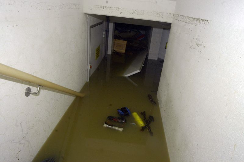 Basement Restoration Service in Santa Rosa, CA