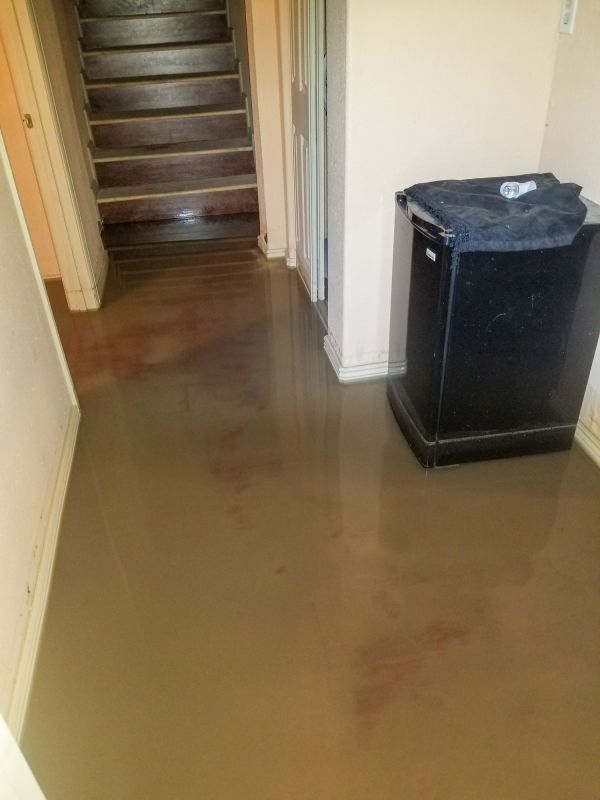 Basement Water Extraction in Wilmington, NC