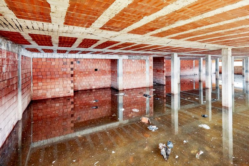 Flooded Basement Before Removal