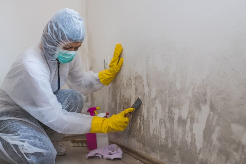 Mold Prevention and Remediation