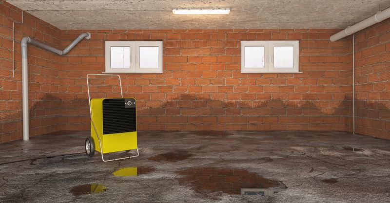 Crawl Space Water Remediation in Wilmington, NC
