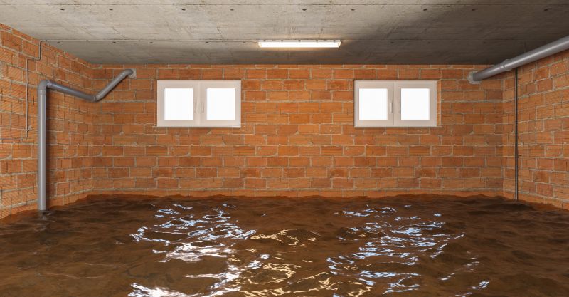 Crawl Space Water Remediation in Phoenix, AZ