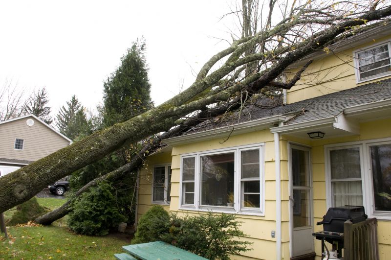 Disaster Restoration Service in Overland Park, KS