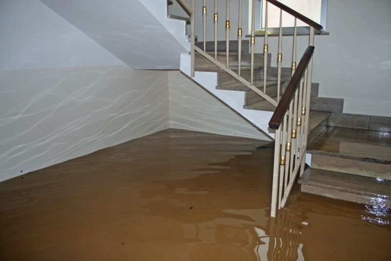 Flooded Basement Cleanup in Phoenix, AZ