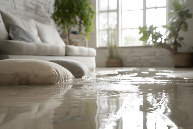 Flooded Basement Cleanup in Scottsdale, AZ
