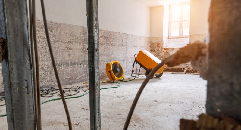 Moisture Removal Service in Chandler, AZ