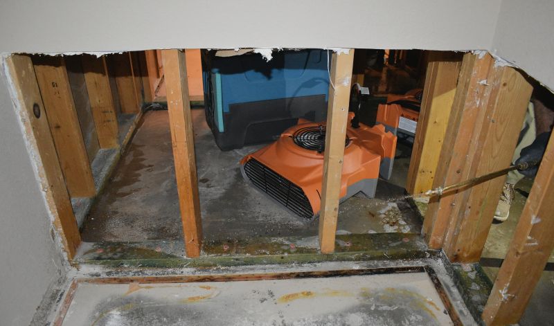 Storm Damage Cleanup in Phoenix, AZ
