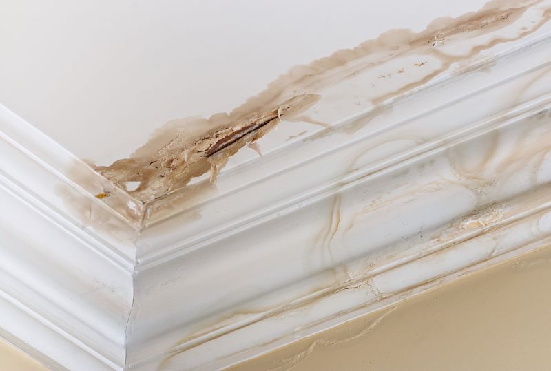 Water Damage Repair in Wilmington, NC