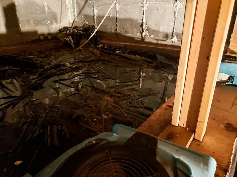Water Extraction Service in Gilbert, AZ