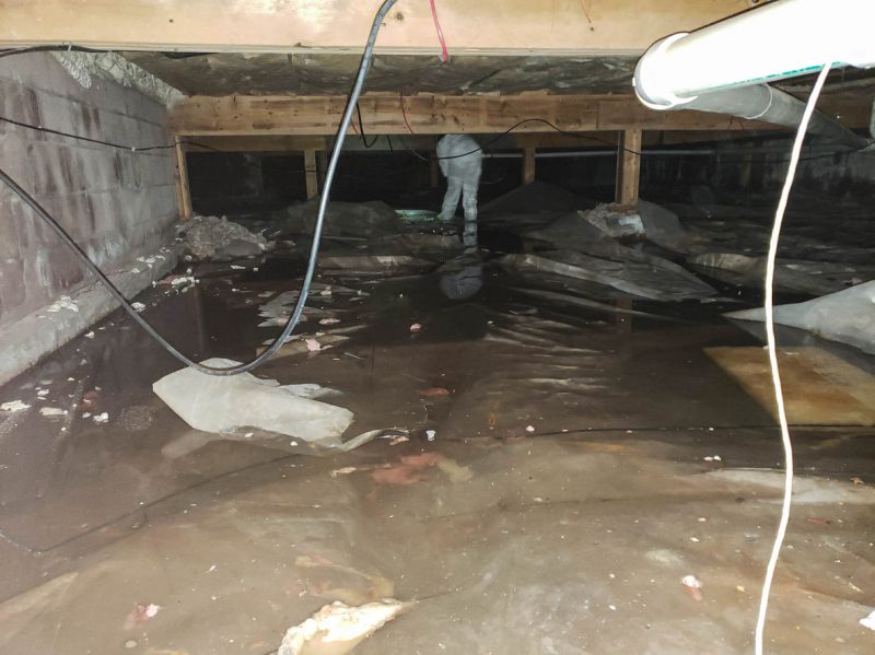 Local Basement Water Removal pros at work